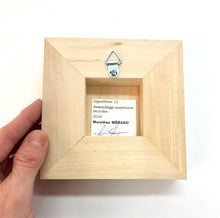 Charger l'image dans la galerie, Cadre - Algorithme 12